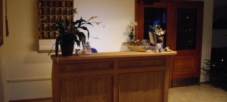 索尼克高山酒店(Alpenhotel Sonneck - Mit Bergbahnticket)图片