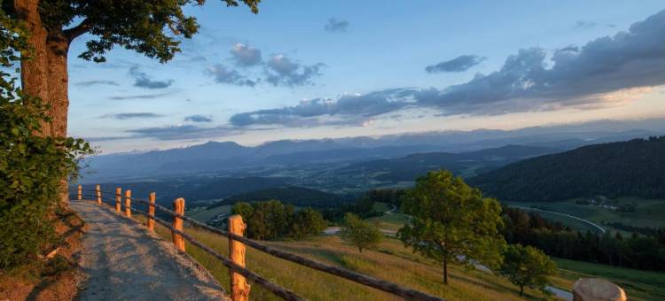 吉费劳斯马格达伦斯贝格旅馆(Gipfelhaus Magdalensberg)图片