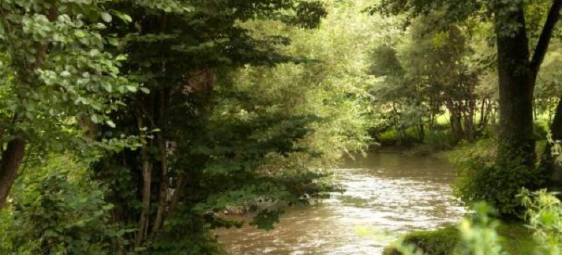 老磨坊酒店(Zur Alten Mühle)图片