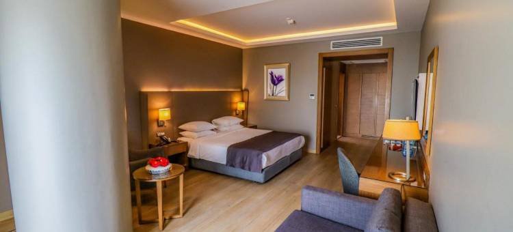 布尔萨市中心假日酒店(Holiday Inn Bursa - City Centre)图片