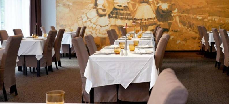 木森酒店(Hotel Mousson)图片