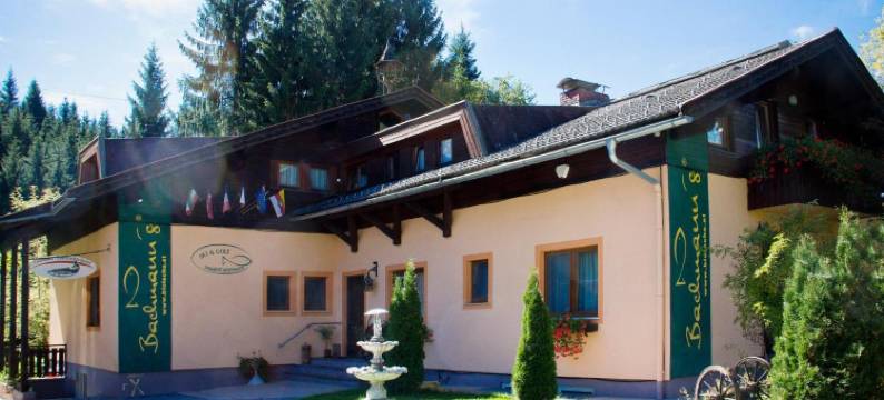 滑雪和自行车纳斯费尔德公寓(Ski&Bike Nassfeld Apartments)图片