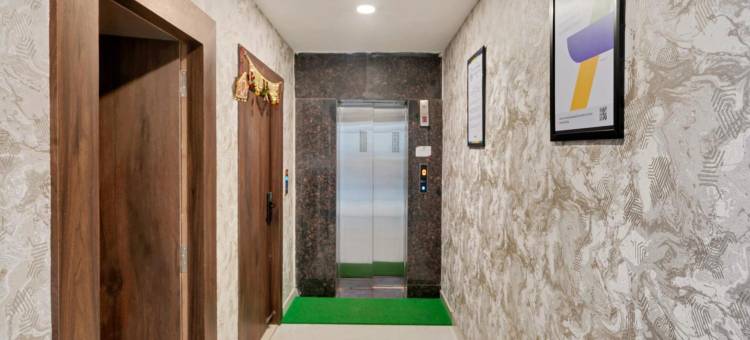 Treebo 光环(Treebo the Aura)图片