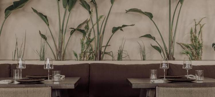 Casa Cook Samos 凯撒库克萨摩斯(Casa Cook Samos - Adults Only)图片