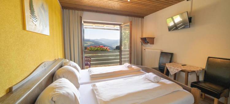 迪西伯格酒店(Hotel-Gasthof Deixelberger)图片