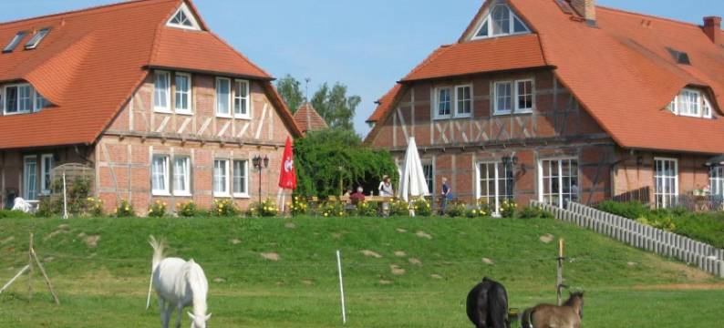 奇洛福莱尔希酒店(Flair Seehotel Zielow)图片