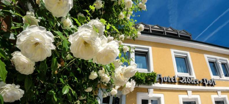 阿德勒博斯特酒店(Hotel Adler Post)图片