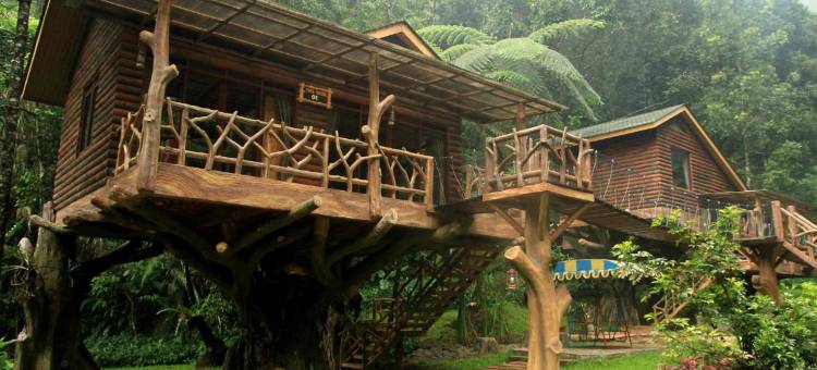 萨法瑞度假村(Safari Resort)图片