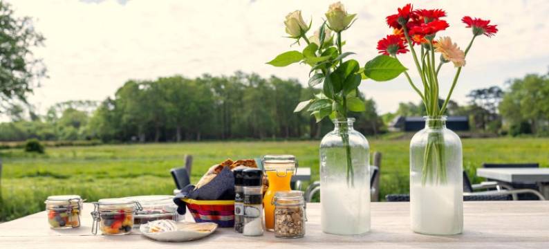 哈泽拉尔别墅酒店(Villa de Hazelaar)图片