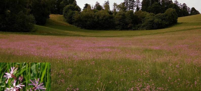 Ferienwohnungen Raczkowski图片