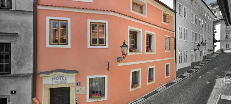 绿葡萄酒店(Hotel at the Green Grape)图片