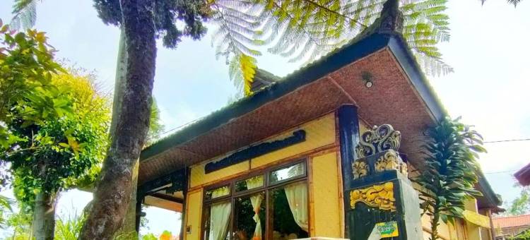 布罗莫旅游村布罗莫约斯基酒店(Yoschi's Hotel Bromo)图片