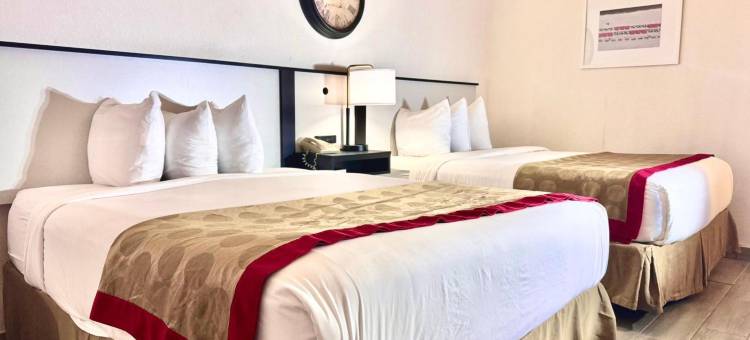 伯明翰机场华美达酒店(Ramada by Wyndham Birmingham Airport)图片