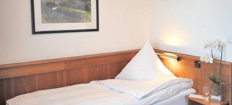 卡斯塔尼亚乡村别墅酒店(Hotel Und Landhaus 'Kastanie')图片