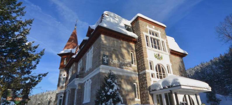 胡贝图斯湖酒店(Seehotel Hubertus)图片