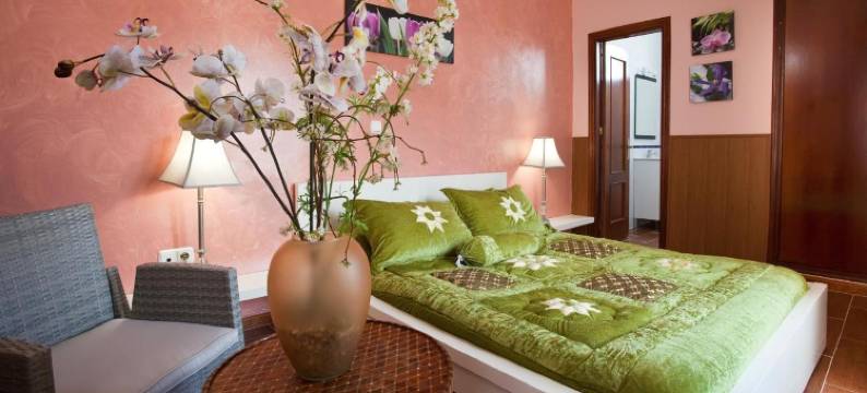 阿塔拉亚酒店(Hotel Atalaya)图片