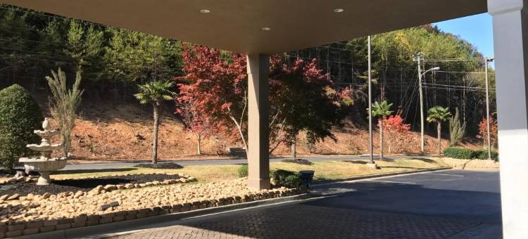 多尔顿丽怡酒店(Country Inn & Suites by Radisson, Dalton, GA)图片