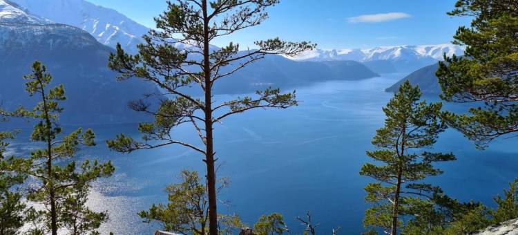 廷布连拉娟酒店(Timblalodgen - Mountain Lodge Near Sognefjord & Flåm)图片