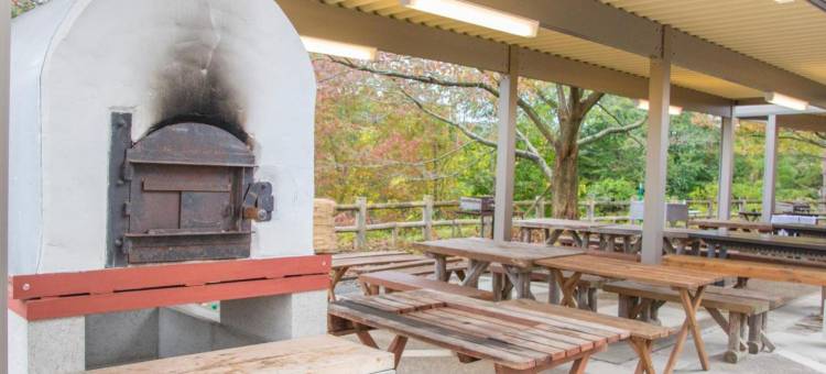 小矢部市自行车总站(Oyabe City Cycling Terminal)图片