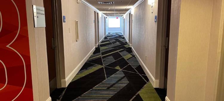 智选假日套房酒店威廉斯波特(Holiday Inn Express & Suites Williamsport)图片