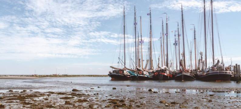 凡赫克伦酒店(Van Heeckeren Hotel)图片