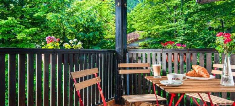 阿尔法特奇菲利卡酒店(Hotel Alfaresort Thermal Chiflika)图片