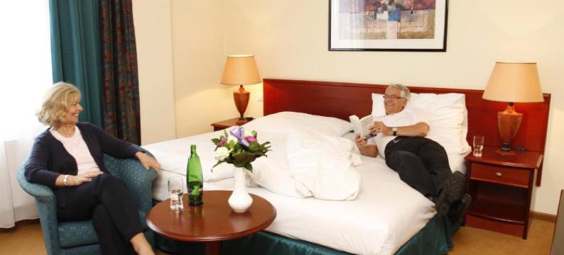 拉丰特酒店(Hotel Lafonte)图片