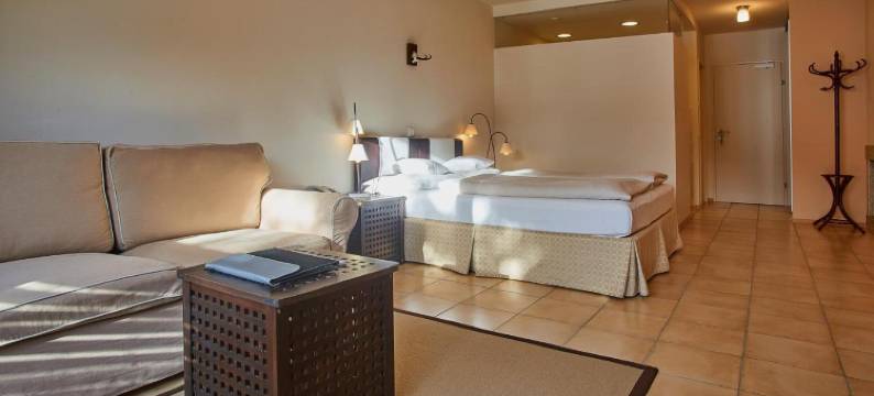 雪绒花公寓式酒店(Hotel Edelweiss)图片