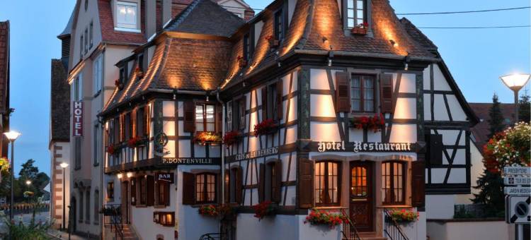 东唐维尔酒店(Hotel Restaurant Dontenville)图片