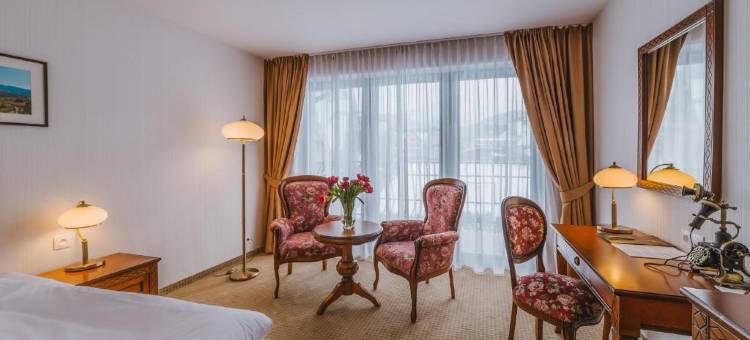 帕里斯艺术与商务酒店(Hotel Paryski Art & Business Zakopane - Basen Jacuzzi Sauna Małpi Gaj)图片