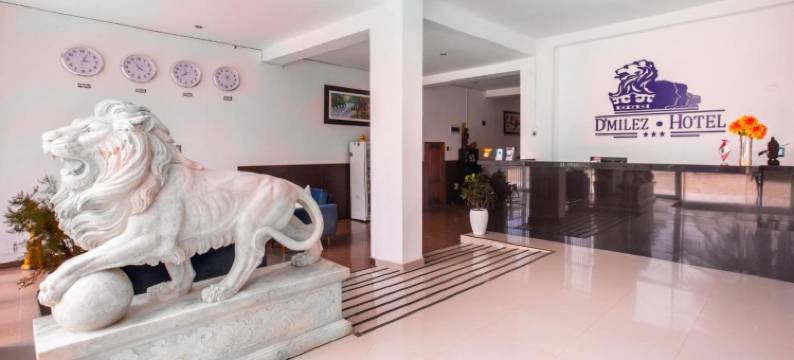 迪梅利兹酒店(D´Milez Hotel)图片