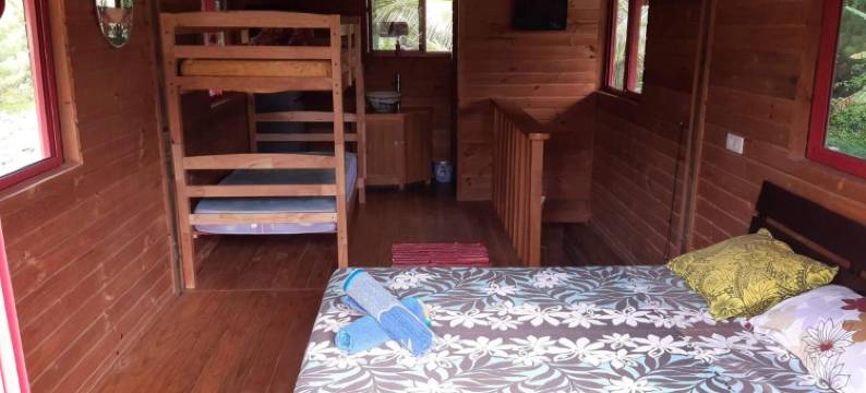 自然歌岛民宿(B & Bee Wild Island - Nature Song)图片