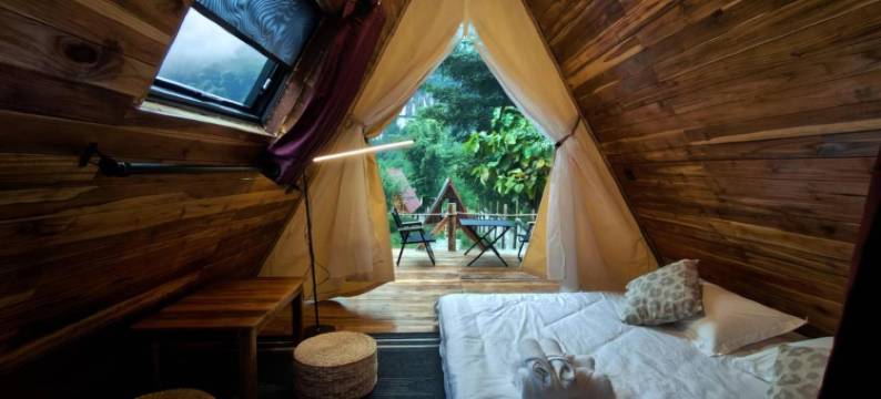 Mimosa Backpackers Hostel图片