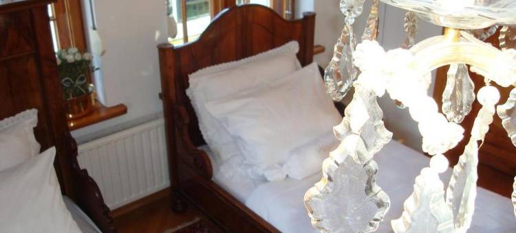 威拉维多利亚旅馆(Willa Viktoria)图片