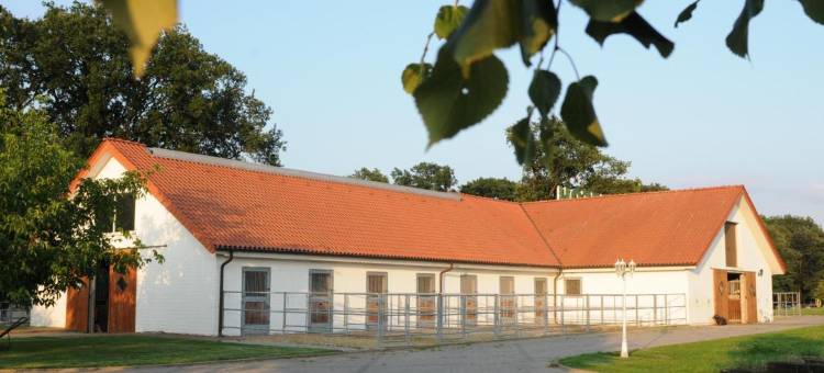 包曼霍夫兰德酒店(Landhotel Baumanns Hof)图片