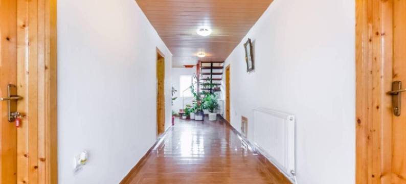 Pensiunea Gaby图片