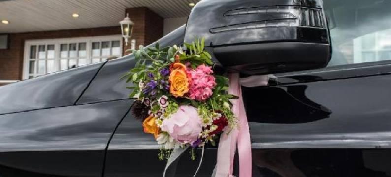 Landhaus Hamester - Hotel & Restaurant图片