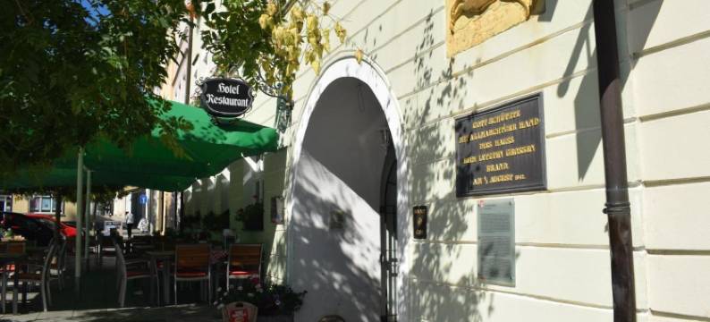 席尔奇阿肯森特酒店(Akzent Hotel Goldner Hirsch)图片