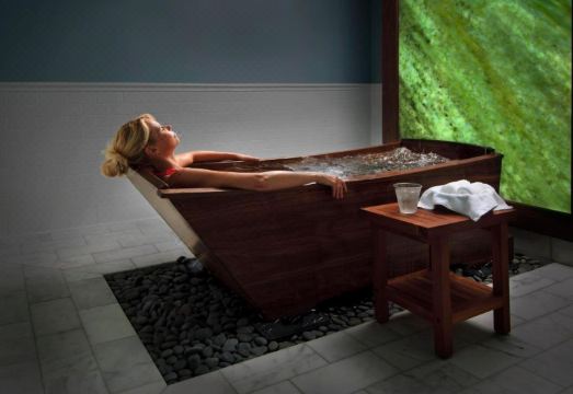 The Omni Homestead Resort Hotel Overview