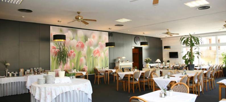 北斗星酒店(Hotel Pflug)图片