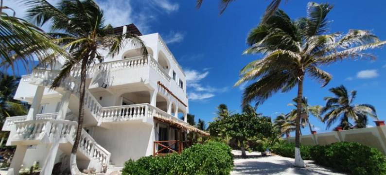 加勒比Casablanca(Caribbean Casa Blanca)图片