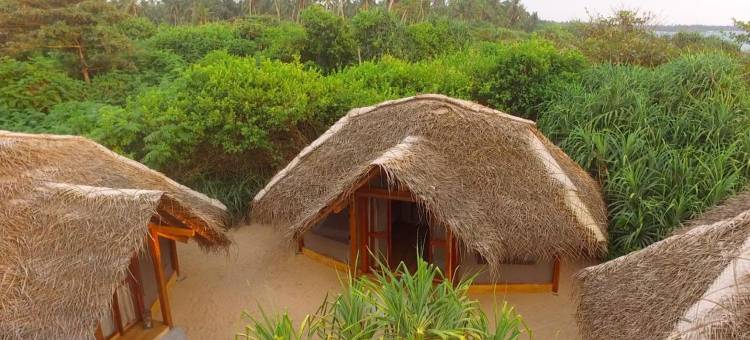 阿洪加勒丛林海滩酒店(Jungle Beach Ahungalla)图片