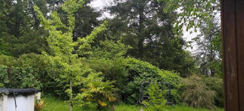 安塔迪奥旅馆(Chambres d'hôtes d'Antardieu)图片