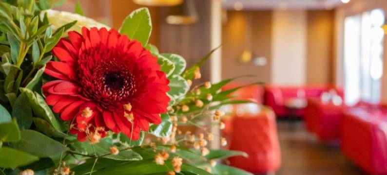 诺德豪森酒店(Hotel Nordhausen)图片