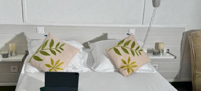 德拉图尔酒店(Hotel de La Tour Saint Etienne Sud)图片