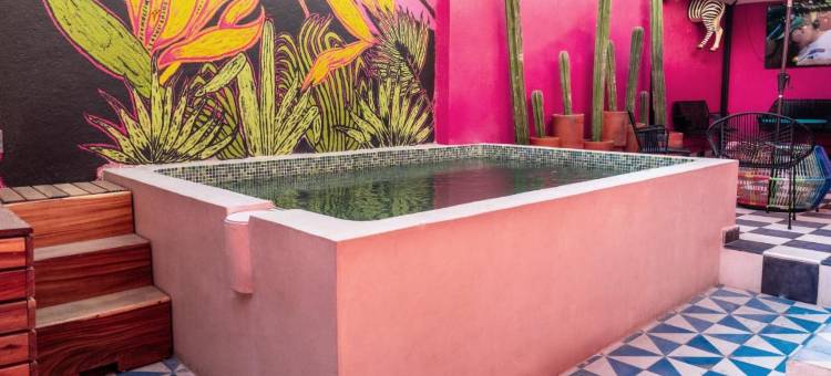 加利福尼亚塔拉克帕克旅馆(Homestal California Hostal en Tlaquepaque)图片