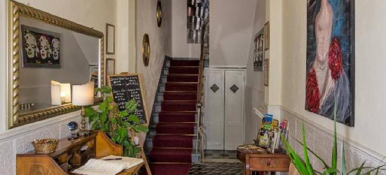 含羞草 B & B(B&B la Mimosa)图片