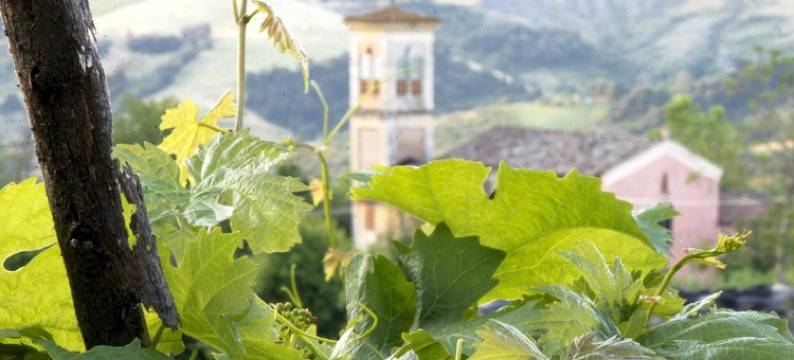 卡萨萤光瑞雷旅馆(Casa Fluò Relais)图片