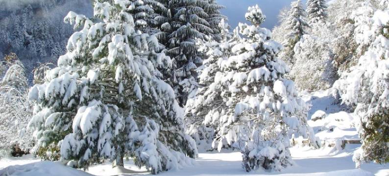 Gîte auberge les cascades(瀑布青旅客栈)(Gite Auberge les Cascades)图片