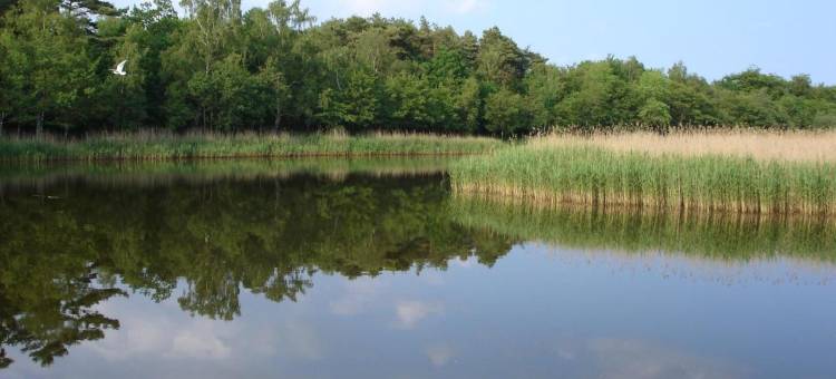 林登之家酒店(Hotel Haus Linden)图片